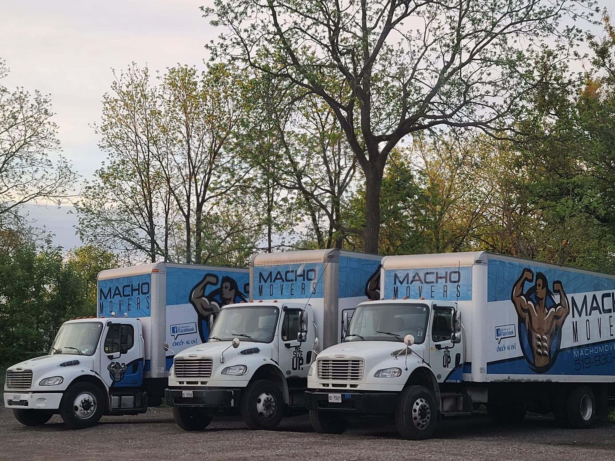 Macho Movers Recognised With 2026 Consumer Choice Award for Excellence in Moving Companies in Guelph